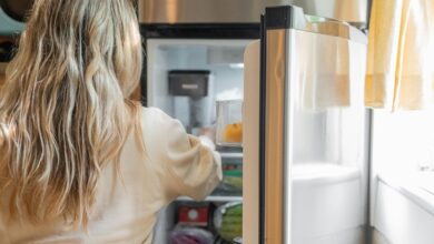 frigidaire refrigerator user guide