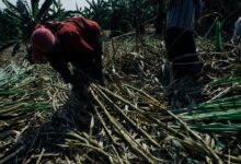 graco manual for 4me