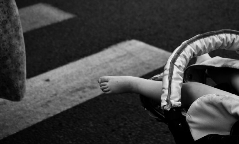 graco pramette travel system