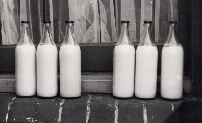 graco slimfit 3l manual