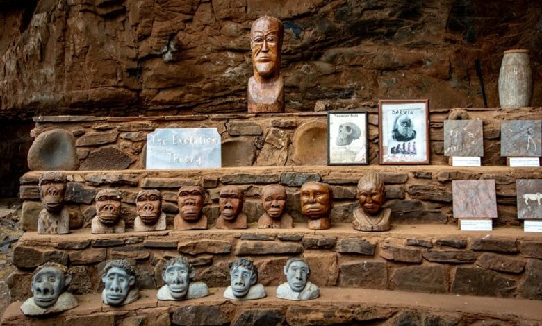 industry evolution insights analysis