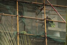 innovative frameworks for tools