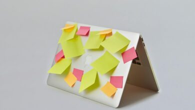 mature content overview notes