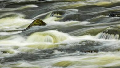 strategic flow momentum core