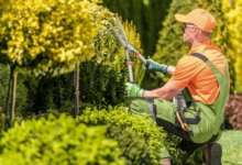 Always Green Landscaping: Transforming Myrtle Beach Outdoor Spaces