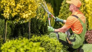 Always Green Landscaping: Transforming Myrtle Beach Outdoor Spaces