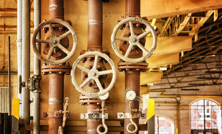 aliunfobia authority builder system