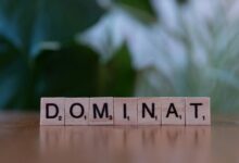 digital domination playbook 3024137472