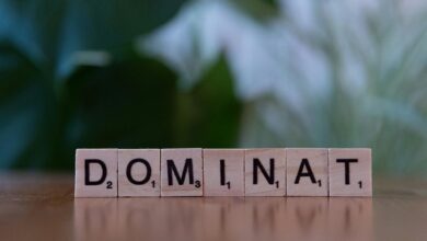 digital domination playbook 3024137472