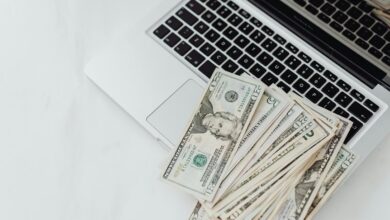 digital income system identifier