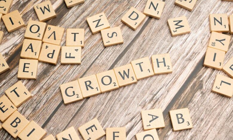 growth acceleration system dynamics