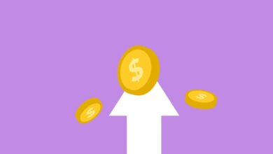 income booster strategy guide details