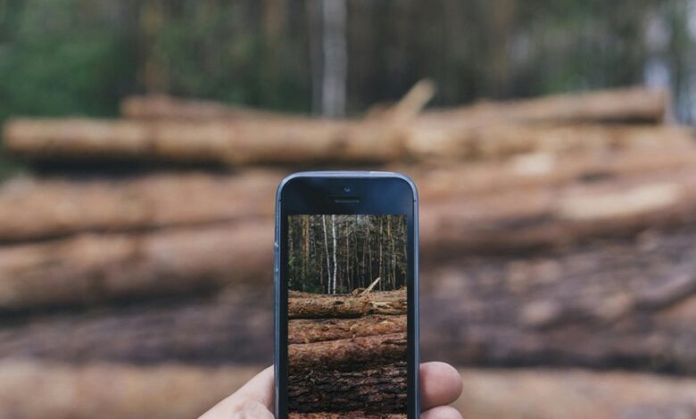 incoming call data log entries