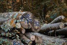 incoming call data logs list numbers