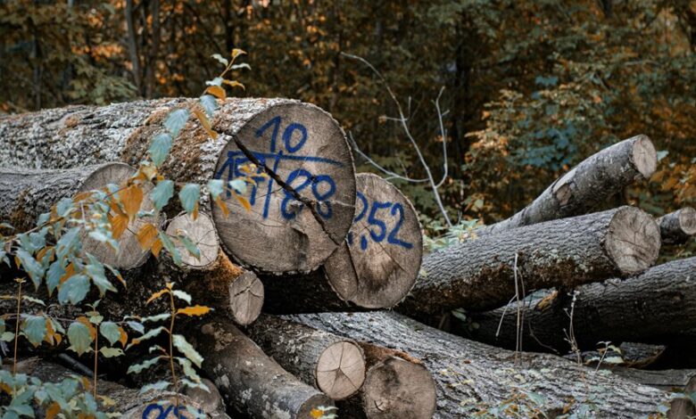 incoming call data logs list numbers