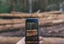 phone activity logs with identifiers