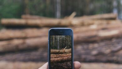 phone activity logs with identifiers