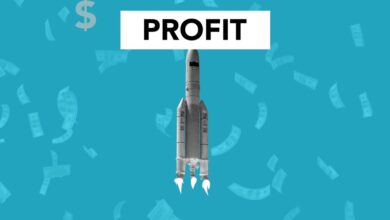 profit engine strategy guide focused on kmhd84lf0ku7760