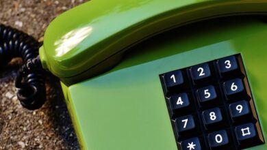 verify multiple contact records numbers