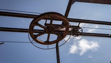 wealth machine 8077887783 framework