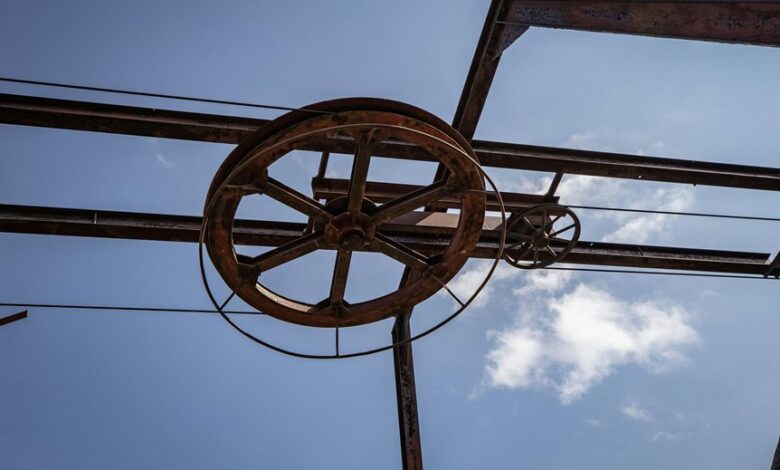 wealth machine 8077887783 framework