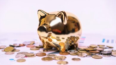 wealth strategy framework details