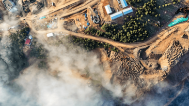 Practical Steps to Keep Your Property Safe From Wildfires