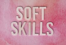 dimrekemesgen skills highlighted