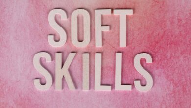 dimrekemesgen skills highlighted