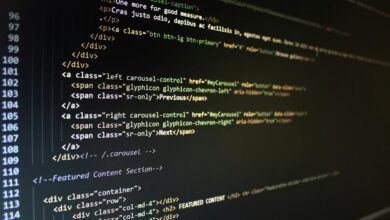 encoded multilingual data review with mysterious terms