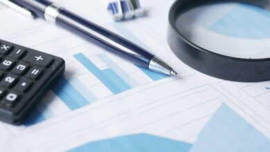 network numeric record audit summary