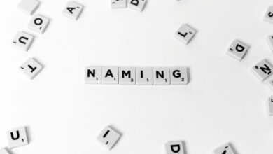 unclear domain names and ids