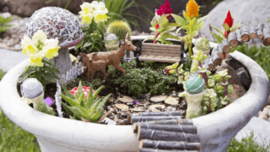 Memorial Garden Ideas to Commemorate a Loved One