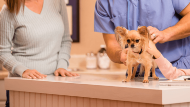 Ways Petbook Veterinary Clinic Supports Lifelong Pet Wellness