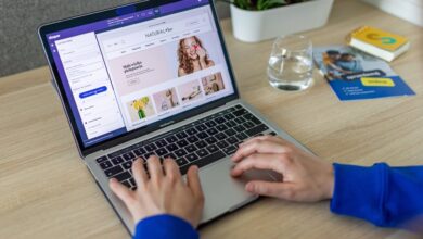 velliukaim webtosociety blog critique
