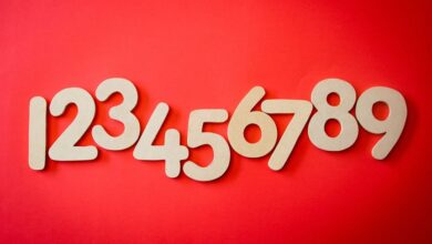 hidden numbers verification details