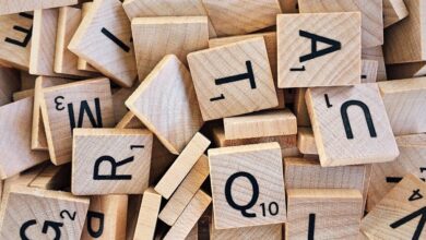 hidden numbers verification list
