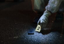 investigates multiple activity numbers listed