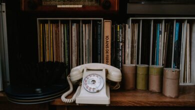 phone numbers list for exploration