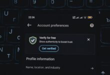 phone verification numbers list ontvangen